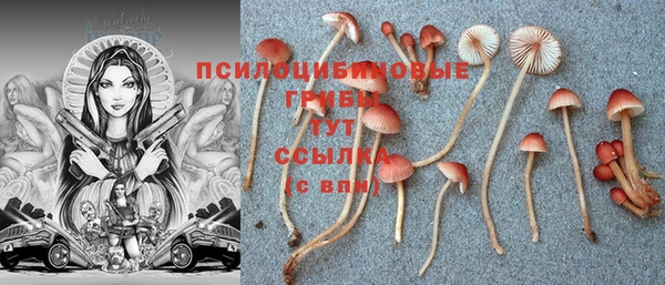 MDMA Premium VHQ Алексеевка